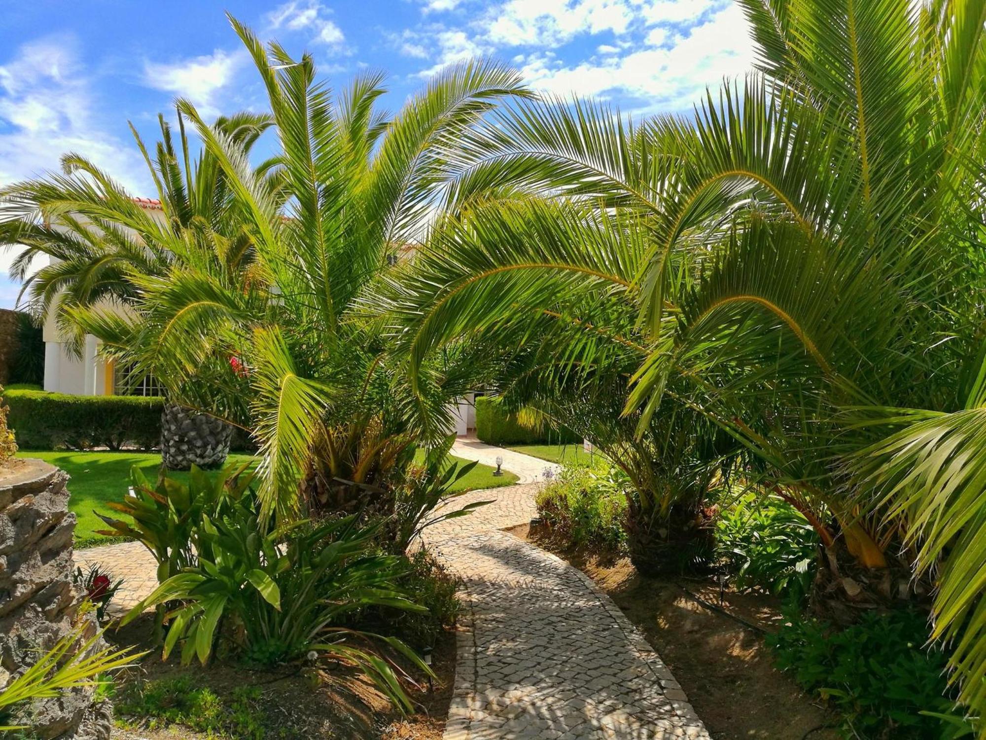 Luz Bay Hotel Εξωτερικό φωτογραφία